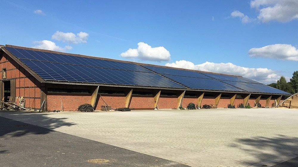 Eine große Halle mit deckenflächigen Photovoltaikanlagen auf dem Dach nach der Reinigung.
