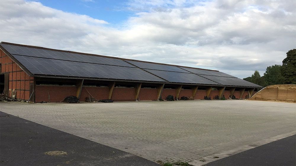 Eine große Halle mit deckenflächigen Photovoltaikanlagen auf dem Dach vor der Reinigung.